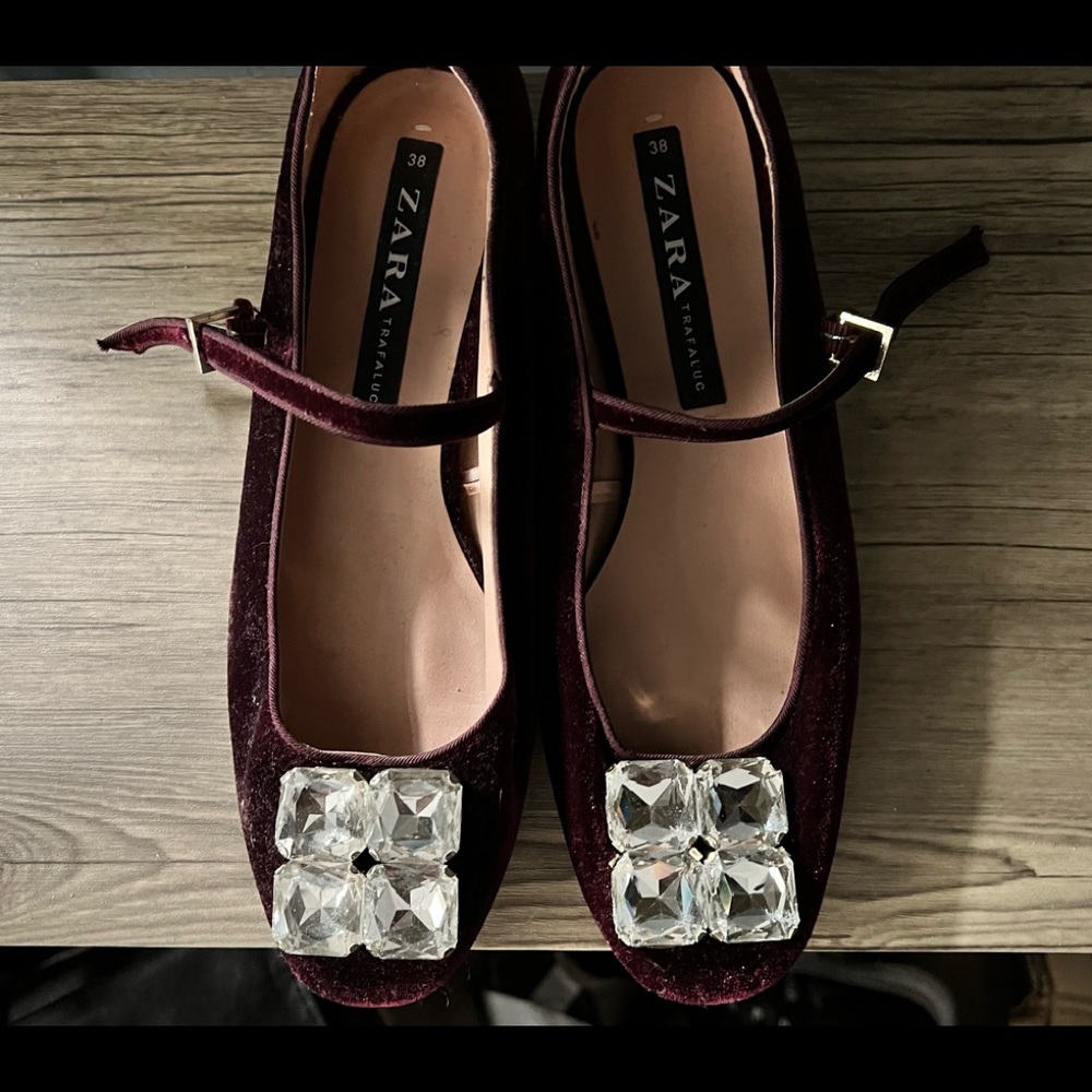 Zara Velvet jeweled flat shoe